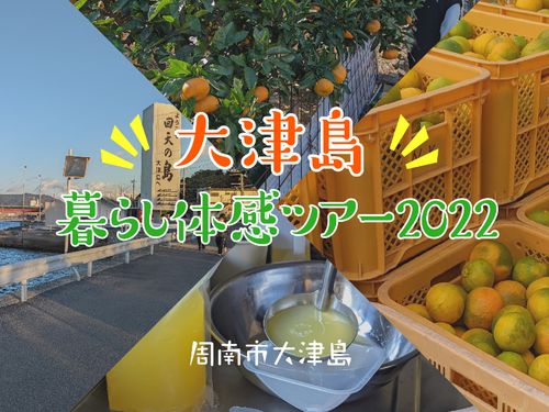周南市大津島では、今年も大学生たちとすだいだいプロジェクトを実施