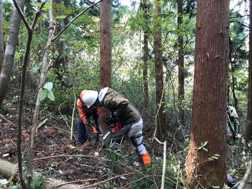 自伐型林業のチームの見学・体験もできます🪵