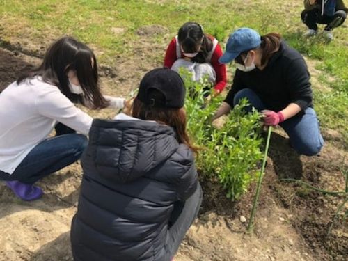 2021年度の活動の様子。みんなで開墾＆野菜を植えました！