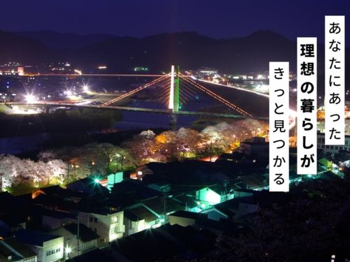 桜満開の夜景