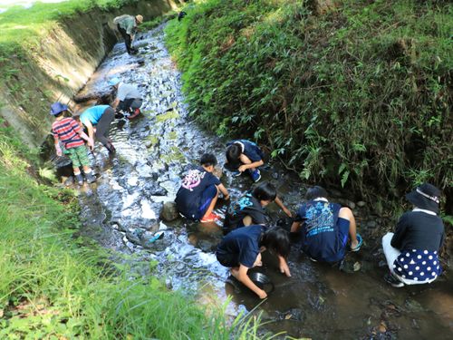 今でも涌谷町内の沢では砂金が採れ、そのことを地域資源として観光プログラムの整備を進めています