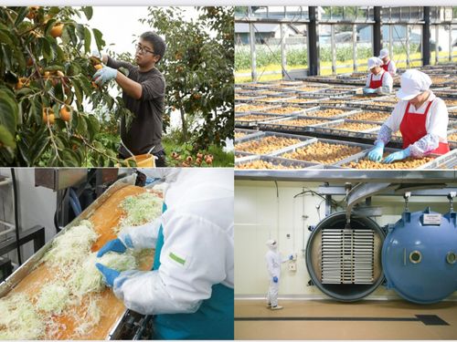農業生産・農産加工・フリーズドライ加工で持続可能な農業を目指し、SDGs に取り組んでいます。