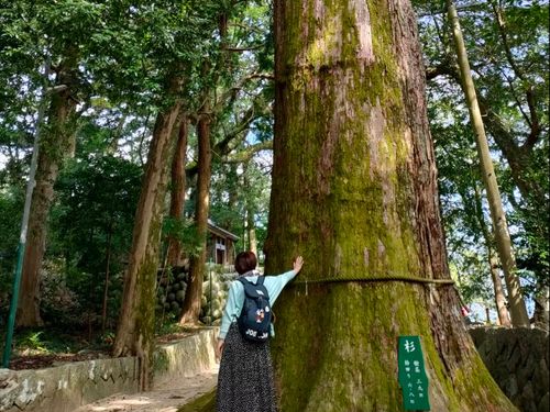三重県で3番目に大きなクスノキがある飛鳥神社