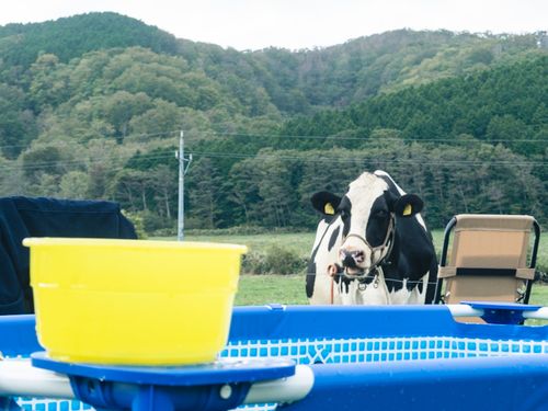 ワーケーションツアー内『牧場サウナ』の様子