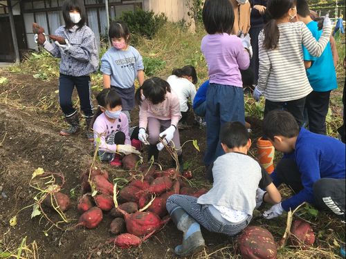 すけろくファームで子どもたちと収穫