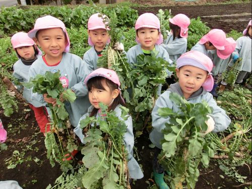 田舎ならではの子育てや教育って？