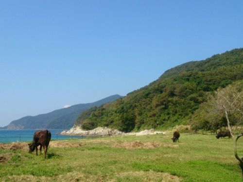 平郡島