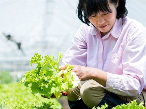 農薬を使わない有機栽培を求めて那須町に移住した方も！