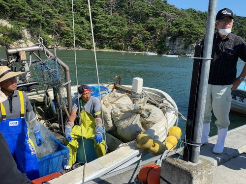 （漁業）地域起こし協力隊の先輩