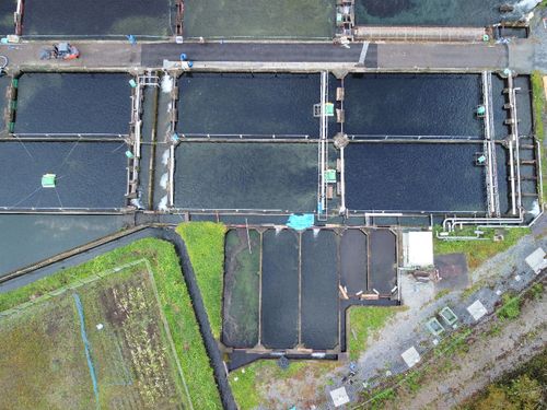 綺麗な水源が隣接し、静かな山間部に位置する桃畑地区で養殖を行なっています。