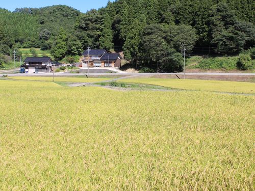 能登の里山風景
