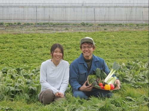 農業法人への就職