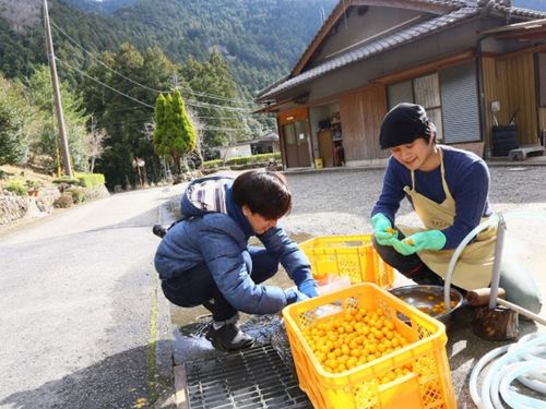 コンセルヴァさんでの体験風景。地元で生産物で作るジャム作りは貴重な体験。