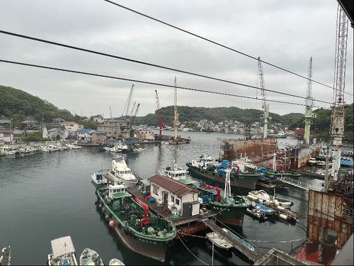 ある曇りの日の景色　柔らかなグレーに落ち着く