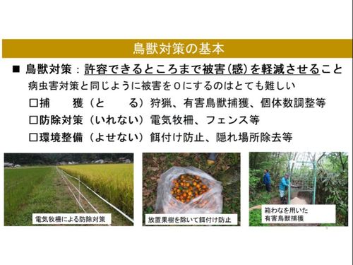 対策資料②