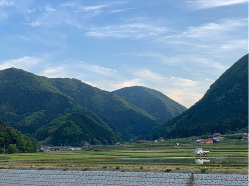 畑迫地域の美しい田園風景