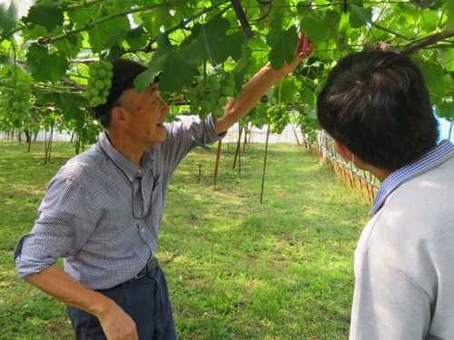 こだわりの農家から話をうかがう