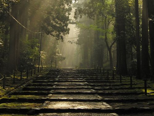 国史跡白山平泉寺の神秘的な景観