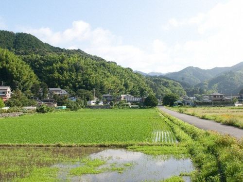 少し車を走らせると田舎風景も楽しめます！