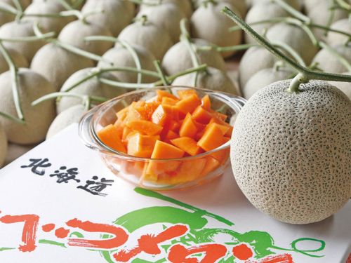 むかわ町の特産品「ほべつメロン」