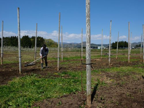 鍬で耕す様子　４月下旬の爽やかな日差しが気持ちいい！