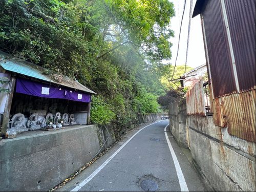 写真⑤：木漏れ日が揺れる通勤路　島の外周を通る古くて狭い道には島を拓いた歴史を感じます。
