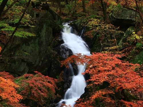 東山地区の名所、滝川渓谷の紅葉。