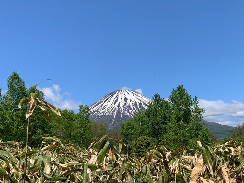 4合目付近。羊蹄山も綺麗に見えます。