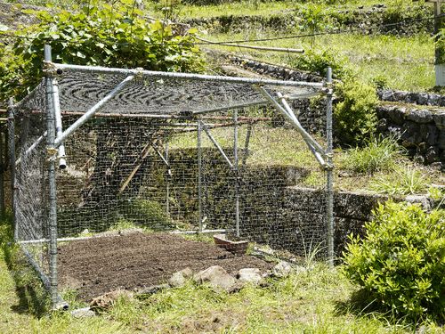 急斜面な土地のため、一つの畑の大きさは家庭菜園程度のものが川上村では一般的。みんな畑をしているので、畑を通してコミュニケーションが行われています。