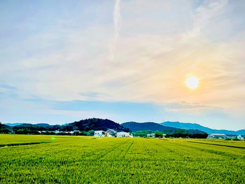 便利さと両立した地域の田園風景