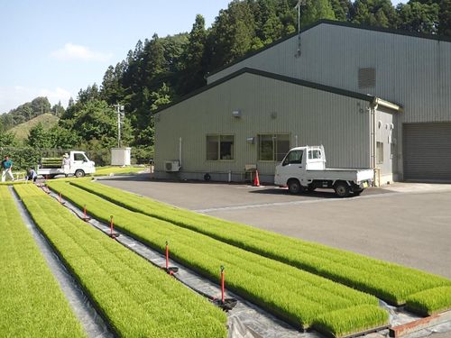 ライスセンター外観