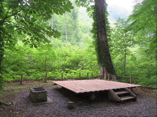 真湯・ブナの原生林のキャンプサイト