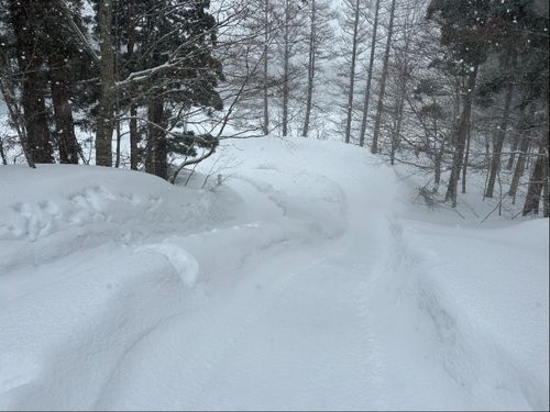 栗駒エリアのスキー場での雪上滑り台