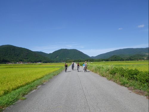 山口市北部の田園風景