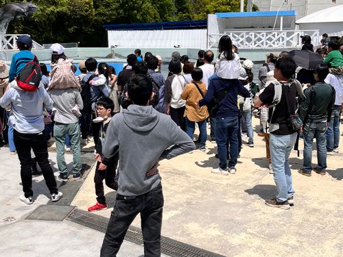 新屋島水族館出店にてキッチンカーからの眺め