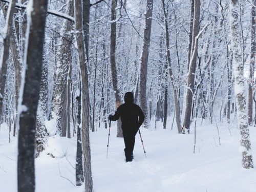 雪のリトリートプログラムの例　スノーシュー