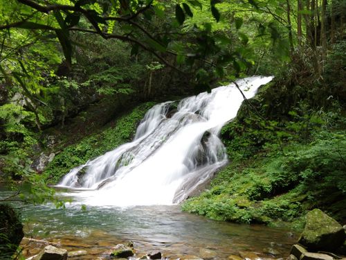 済浄坊の滝