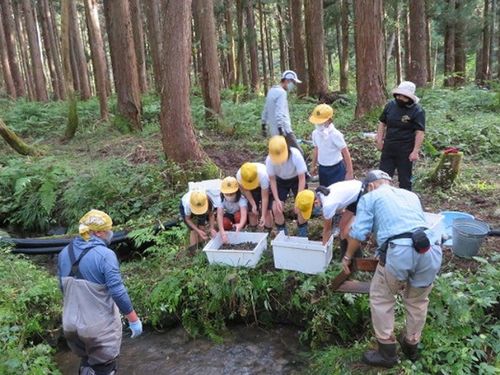 小学校の様子🎣　渓流釣りや川と魚について学ぶ「フライフィッシングクラブ」。峠川の支流にアマゴやヤマメの産卵場をつくっています🐟