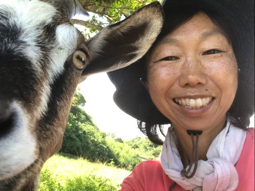 山羊たちと一緒に自然生活