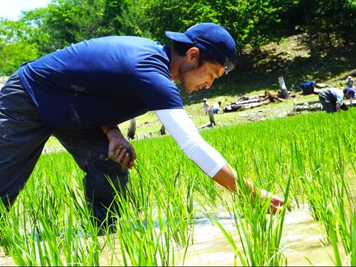6月：雑草取りイベント