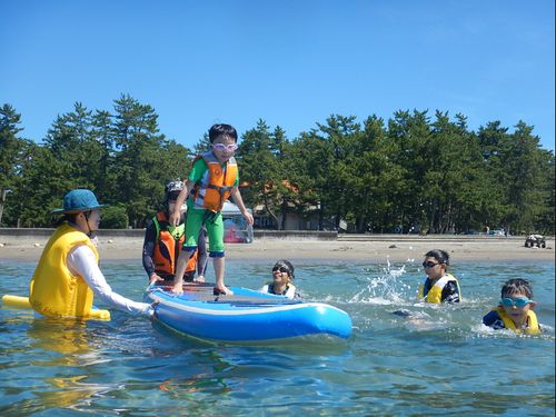 昨年度の里海体験の様子