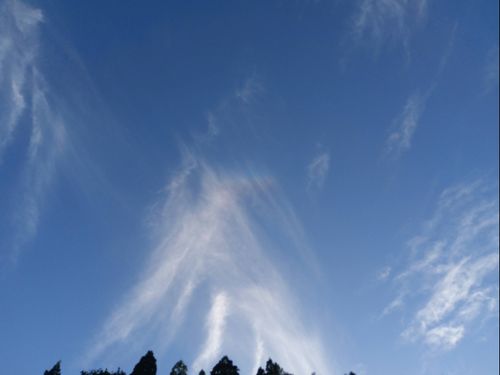 ひらけた青空。