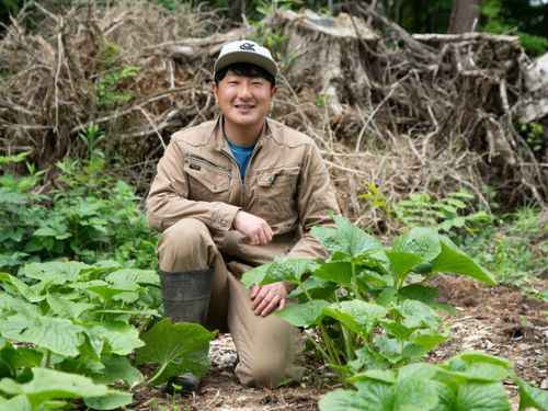 協力隊として、林業に関わる方や、農家を目指している方などが居ます