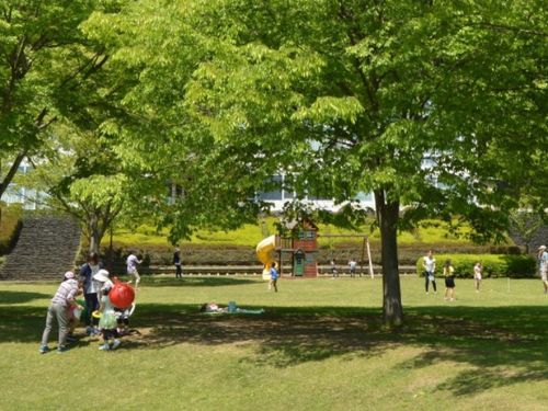 のびのびと外遊びを楽しめる環境です