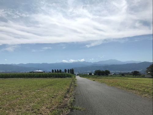 今朝の伊那市ますみヶ丘から望む南アルプス