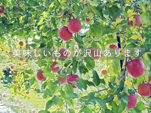 志賀高原の麓でフルーツがとっても美味しいです