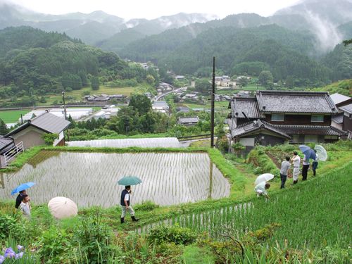 山々の湧き水が流れ込む水田。ここで収穫される米を「曽爾米」として通常の米より価値をつけて販売しています。