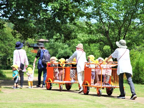 近所の自然や公園を活かした野外保育