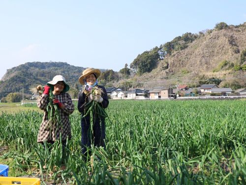 農業も盛んで美味しい食材が多く生産されています。