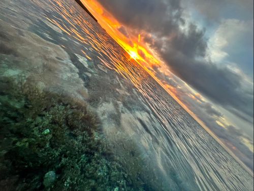 海に浮かびながら夕日を眺めることも。